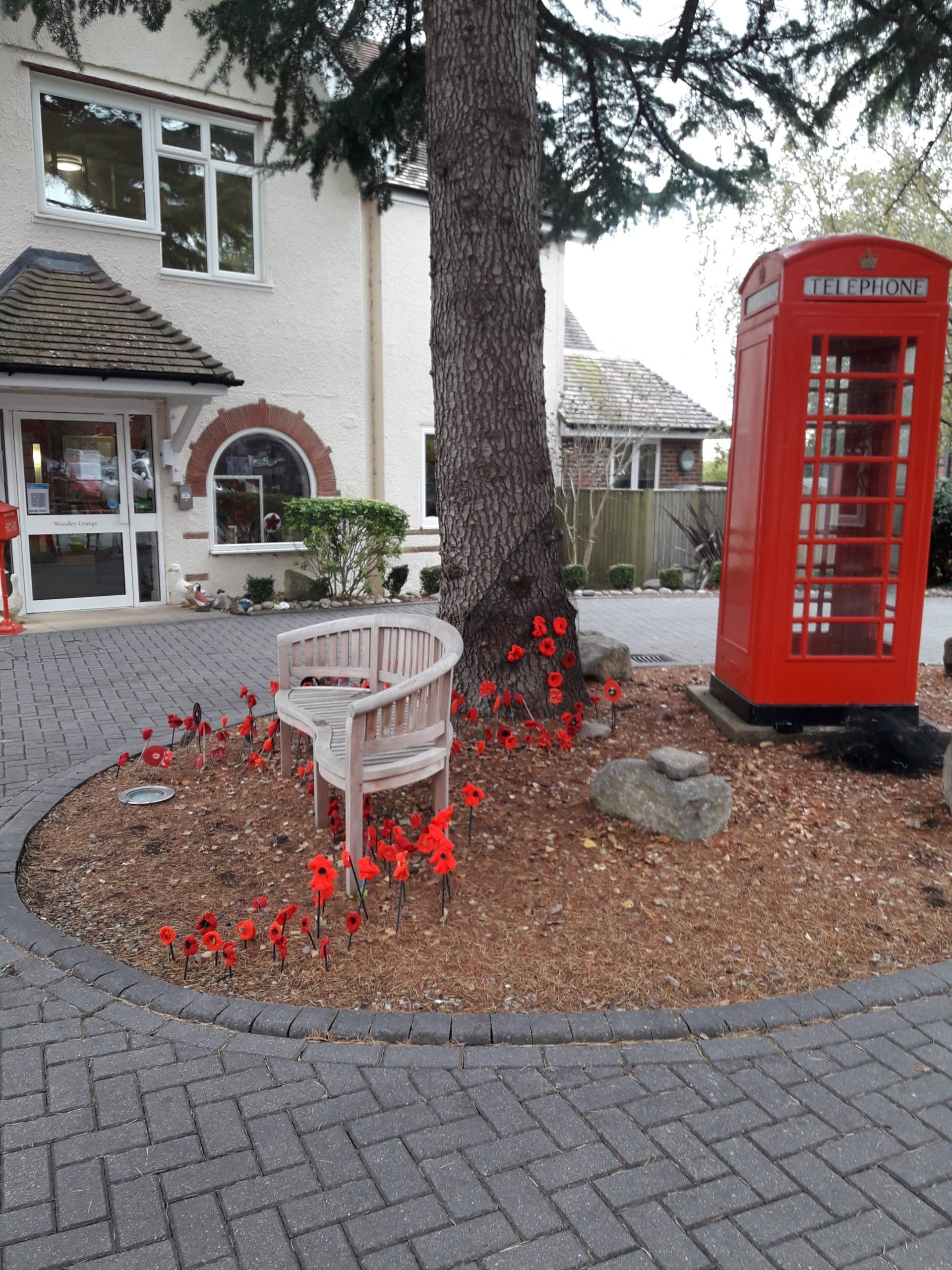 Remembrance poppies memorial display at ManuCourt care home
